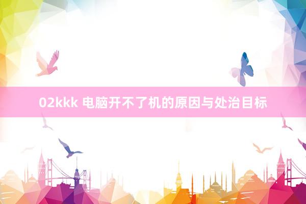 02kkk 电脑开不了机的原因与处治目标