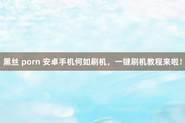黑丝 porn 安卓手机何如刷机，一键刷机教程来啦！