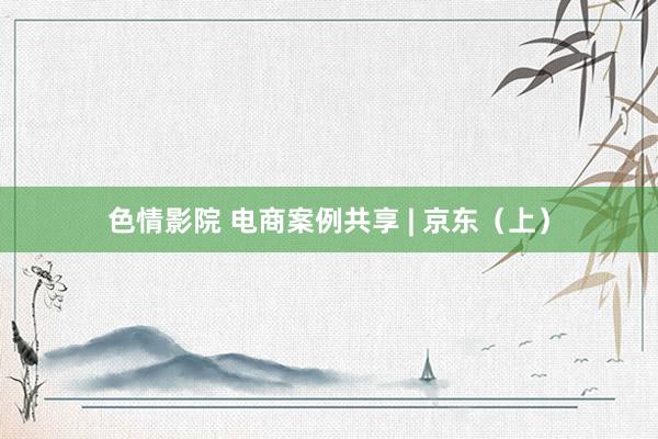 色情影院 电商案例共享 | 京东（上）