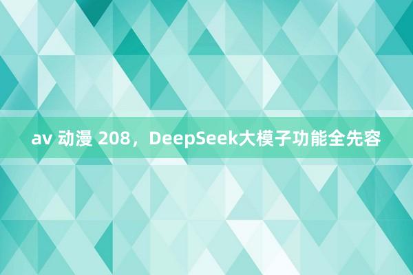 av 动漫 208，DeepSeek大模子功能全先容