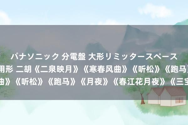 パナソニック 分電盤 大形リミッタースペースなし 露出・半埋込両用形 二胡《二泉映月》《寒春风曲》《听松》《跑马》《月夜》《春江花月夜》《三宝佛》等